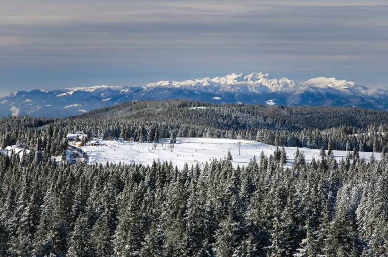 Rogla skigebied uitzicht