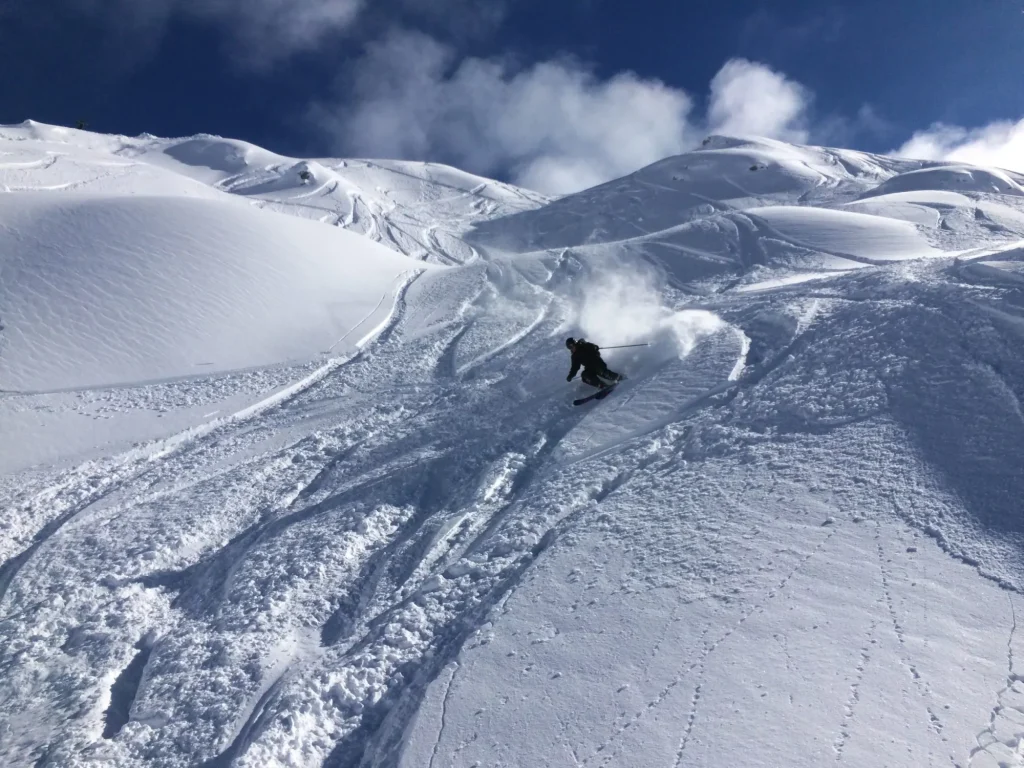 Vogel skisportssted freeride